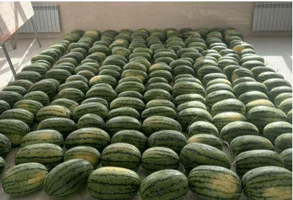 顺德吃瓜新闻,揭秘当地特色美食背后的故事