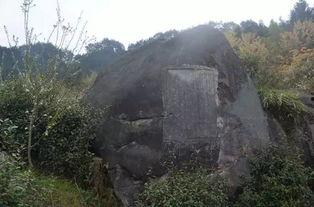 舞阳县吃瓜,探寻舞阳县特色美食之旅