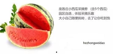 17吃瓜中心,网络舆论场中的焦点追踪与深度解析