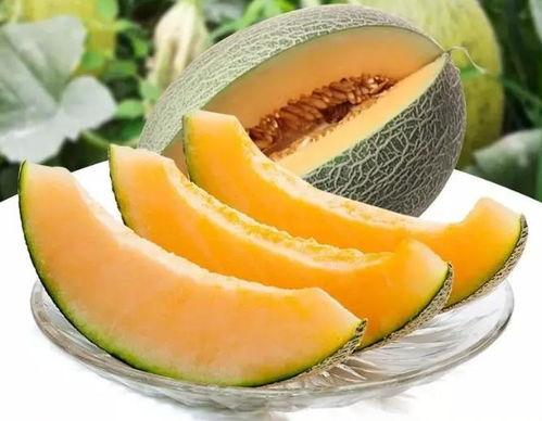 瓜州哪个路线可以吃瓜,探寻瓜果飘香的美食路线