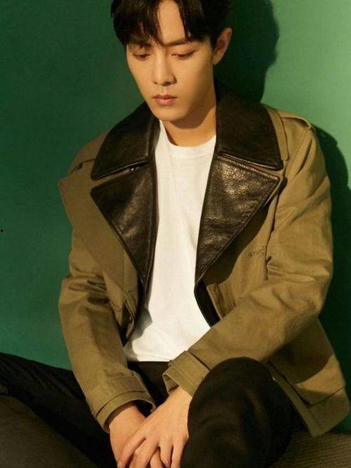 吃瓜梗肖战,瓜田里的明星，梗王之路