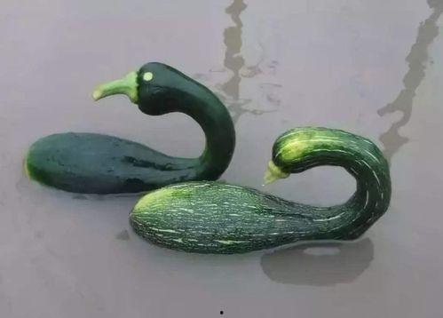 瓜哥吃瓜宿管阿姨,揭秘宿管阿姨背后的故事