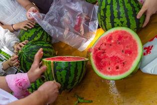 吃瓜视频宿舍,揭秘宿舍生活的趣味瞬间