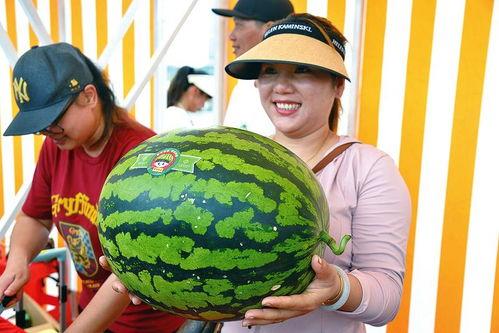 吃瓜委员会,娱乐圈幕后那些事儿