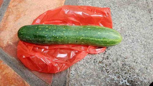 什么瓜不用吃,那些无需品尝的“美味”瓜果之谜