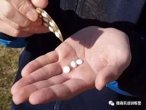 吃瓜不晕车,轻松应对晕车困扰