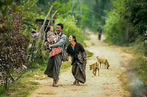 吃瓜评委林芊,吃瓜评委的麻辣点评，揭秘娱乐圈幕后真相