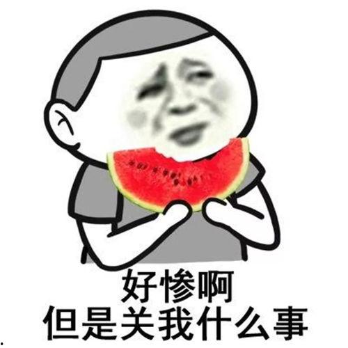 退圈后我吃瓜前影帝的瓜,那些被遗忘的瓜料揭秘