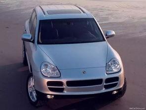 保时捷卡宴吃瓜群众