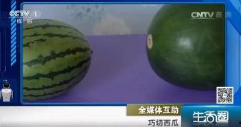 吃瓜不吐籽66,揭秘瓜界奇才的瓜趣人生