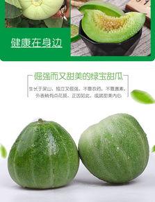 绿宝甜脆瓜怎么吃,绿宝甜脆瓜的多彩食法探索