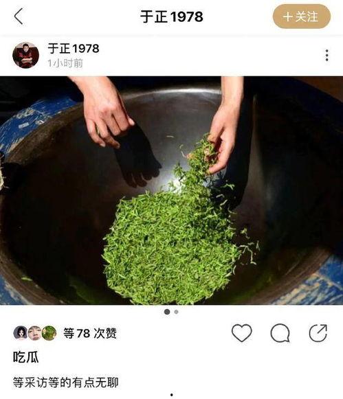 吃瓜绿丝,夏日清凉美食之旅