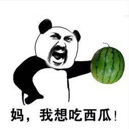 吃瓜过完年了,欢乐喜庆的春节盛宴