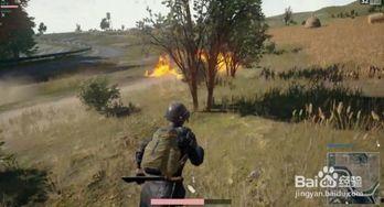 绝地求生怎么吃瓜队友,瓜分胜利，携手吃瓜队友