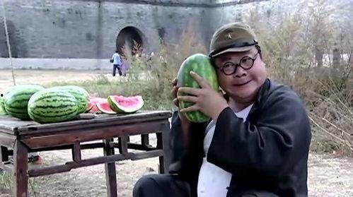 搞笑吃瓜的律师,笑料百出！律师界的“吃瓜群众”揭秘法律圈幕后趣闻