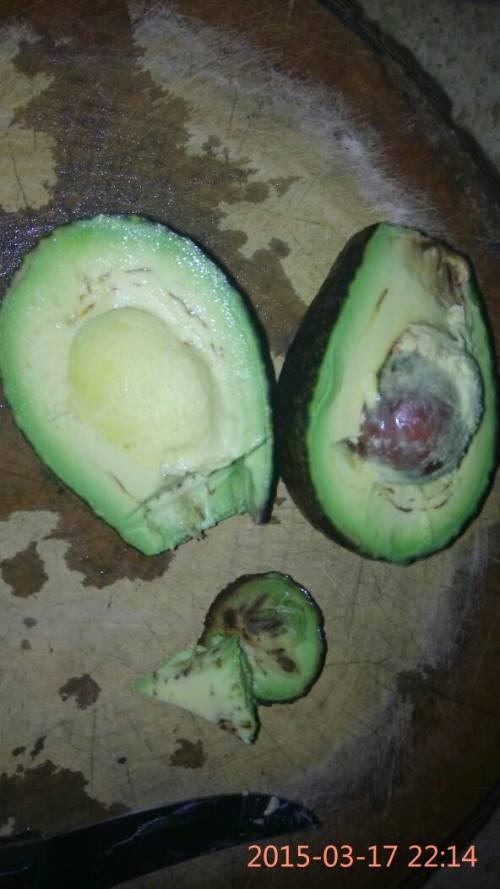 吃瓜吃出黑色东西,瓜中黑色物件的神秘面纱