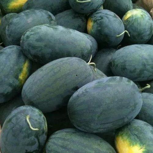 武汉校园吃瓜群,揭秘校园生活趣味瞬间