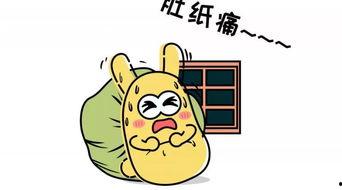 吃瓜群众感谢,共赏瓜田盛宴