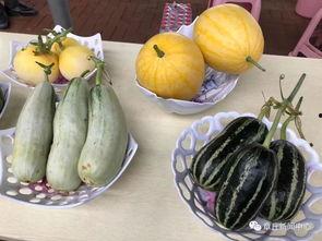 章丘最近吃瓜事件,一场引发热议的社区事件回顾