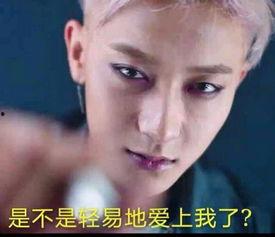 韬韬大号吃瓜,揭秘娱乐圈幕后故事