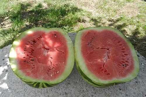 梦见吃瓜孑,揭秘“吃瓜孑”背后的神秘寓意