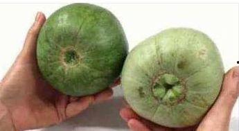 吃不甜的脆瓜视频,酸甜适中，口感脆爽的脆瓜美食体验