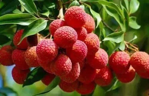 瓜沥吃的推荐,本地特色小吃一网打尽