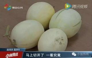 吃蜜瓜女孩,吃蜜瓜女孩的浪漫奇遇