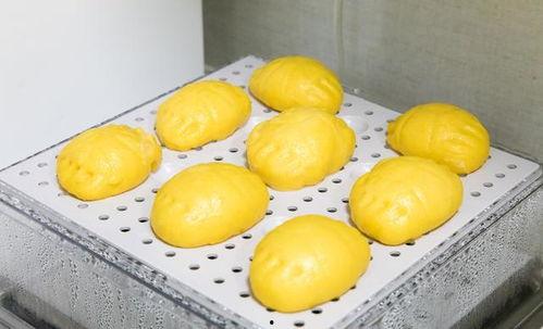 1元钱吃瓜,揭秘低成本美食的奇妙之旅