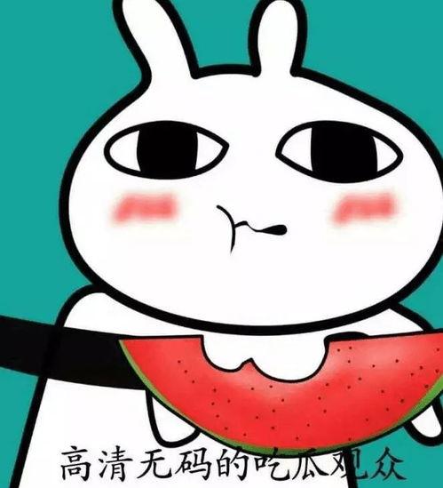 可爱的吃瓜头像  第2张