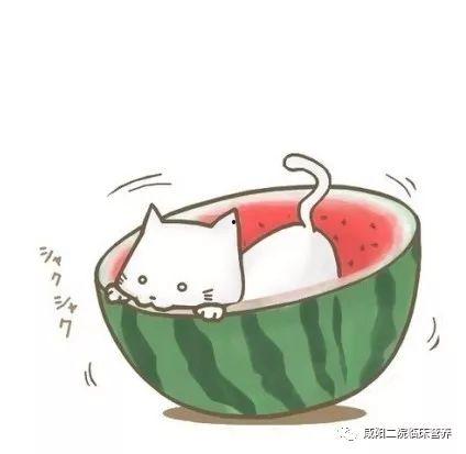 可爱的吃瓜头像  第3张