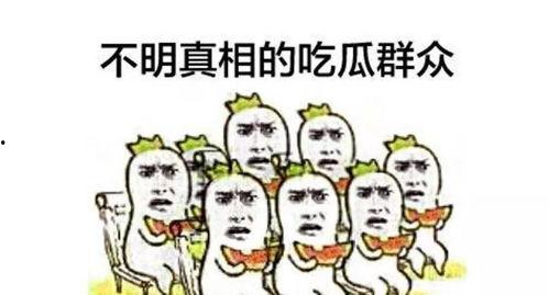 吃瓜围观效应视频,网络视频的狂欢与反思