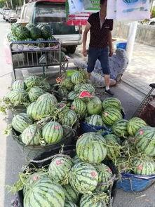 阜平吃瓜事件,一场引发社会热议的网络风波  第3张