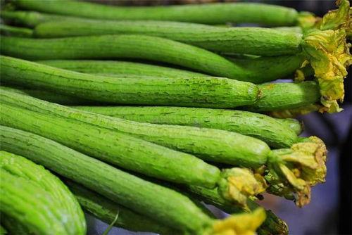 嫩茎瓜怎么吃,探索美味与营养的完美结合 第3张 嫩茎瓜怎么吃,探索美味与营养的完美结合 第3张