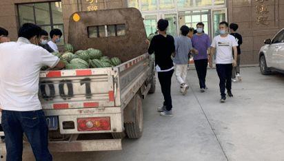 学校吃瓜新闻,揭秘校园吃瓜新闻背后的故事