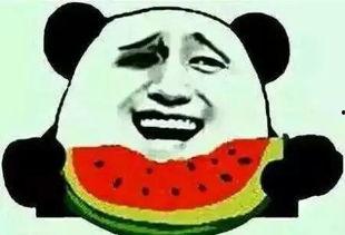 夏天要到了吃瓜群众,瓜果飘香——吃瓜群众夏日盛宴  第3张