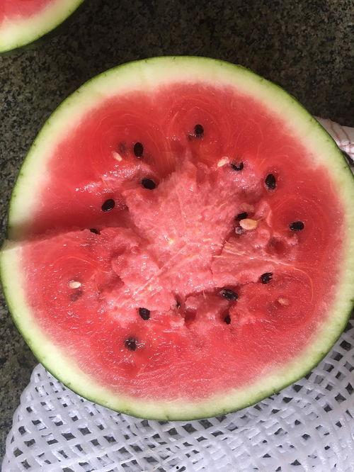 夏天应该吃脆瓜还是沙瓜,脆瓜与沙瓜,哪一款是你的心头好? 第3张 夏天应该吃脆瓜还是沙瓜,脆瓜与沙瓜,哪一款是你的心头好? 第3张