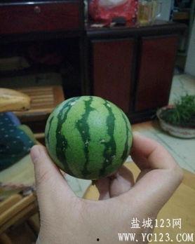 盐城吃瓜情侣  第2张