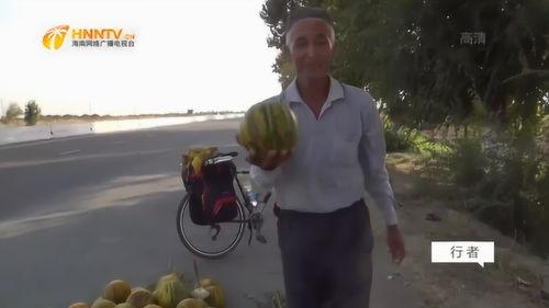 邻居大叔吃瓜,邻居大叔的瓜田奇遇记  第3张