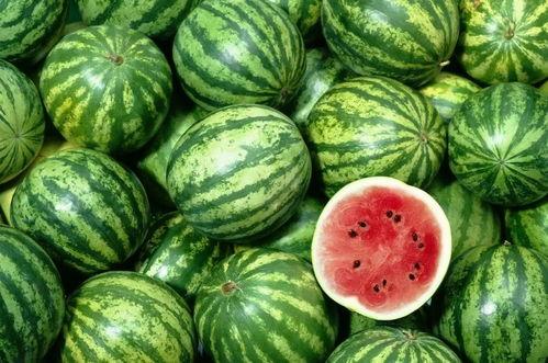 enndme吃瓜壁纸,网络热图背后的故事与影响  第2张